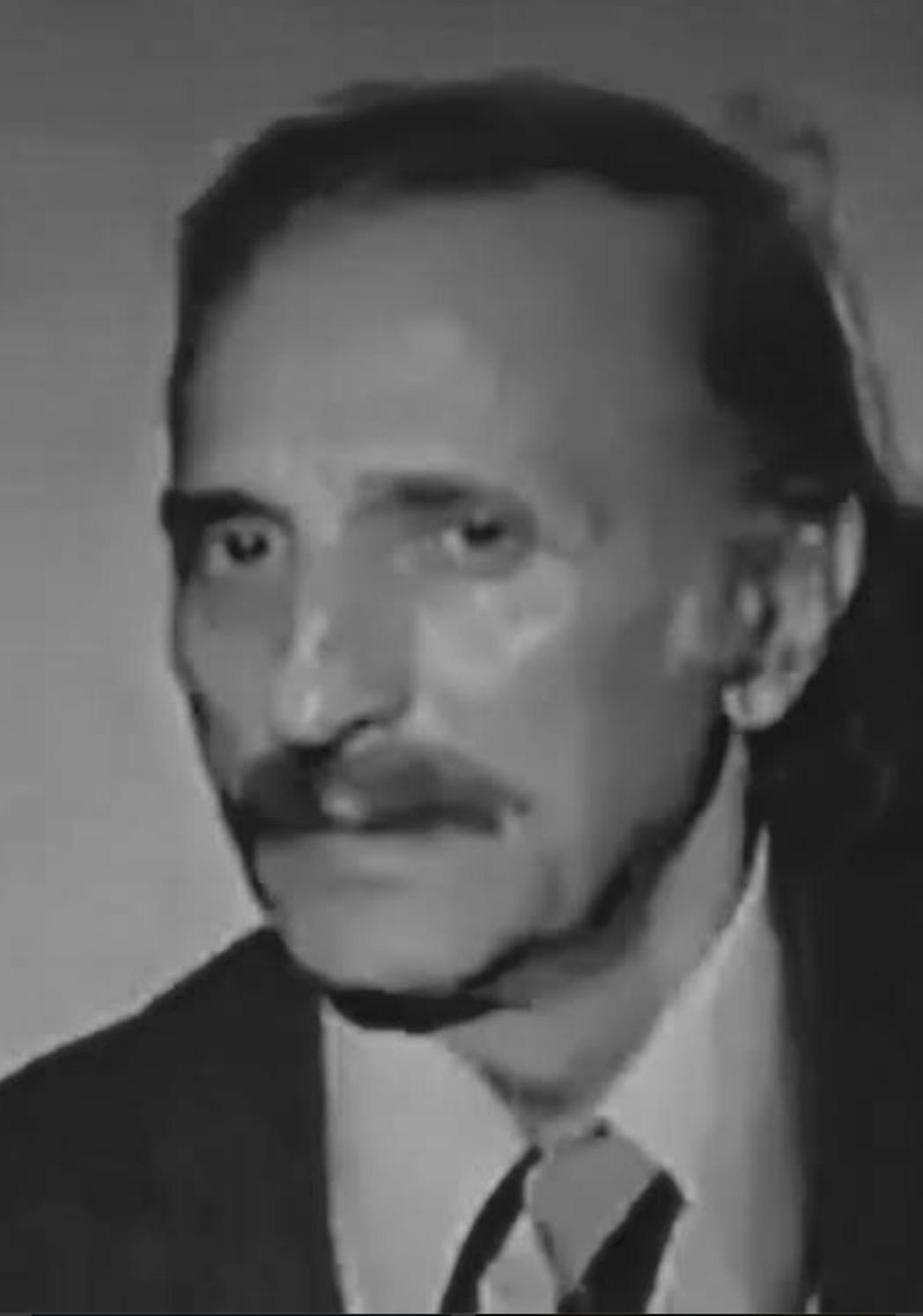 Zeki Alpan image