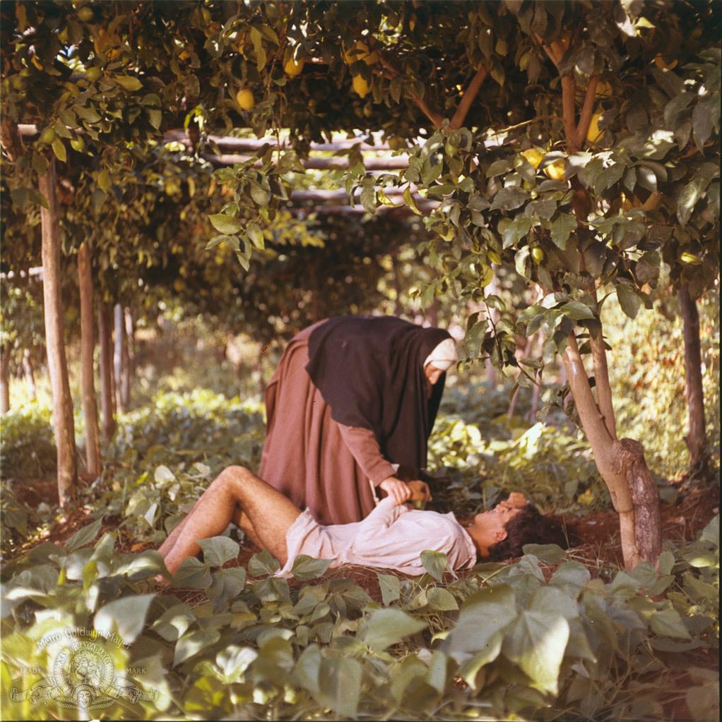 Vincenzo Amato image