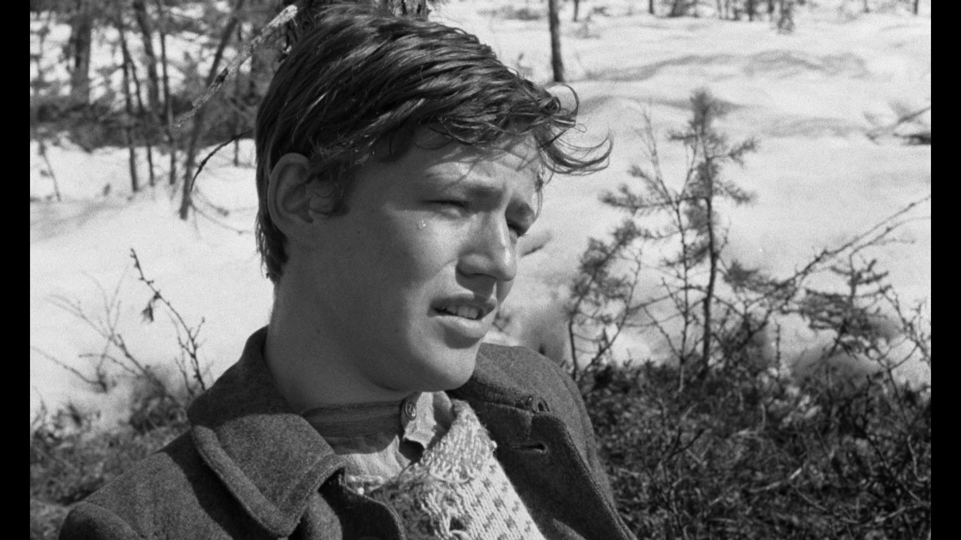 Eddie Axberg image