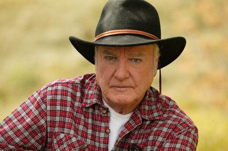 James Best image