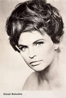 Christel Bodenstein image