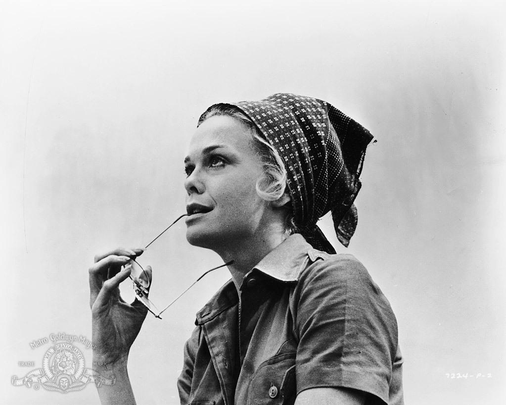 Lynn Borden image