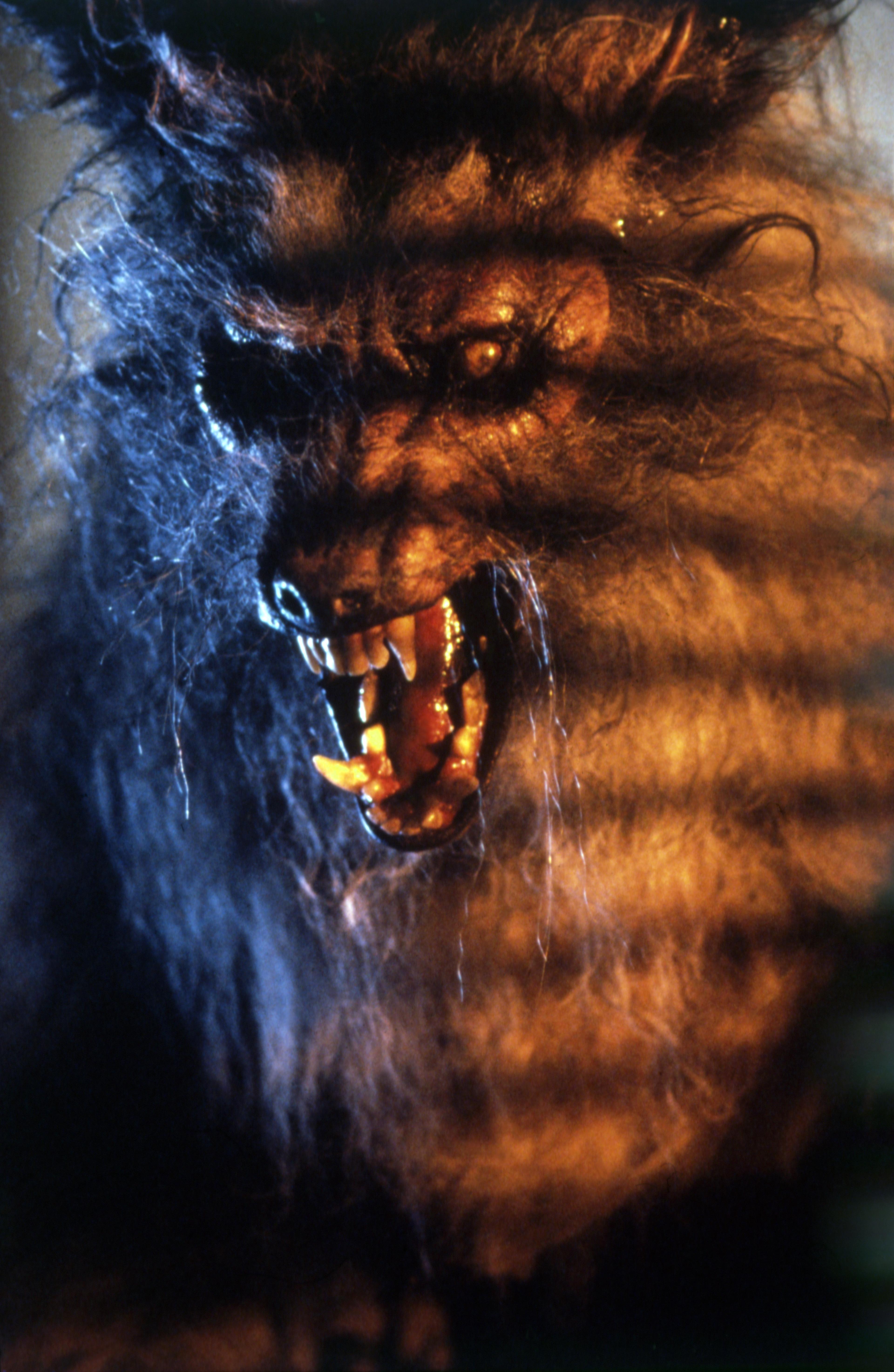 Gary Brandner image