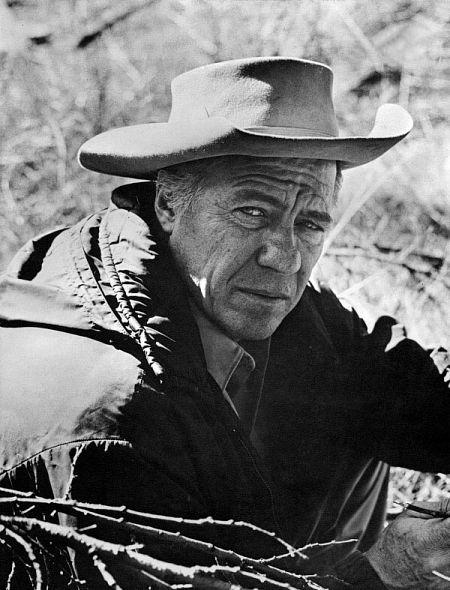 Robert Bray image