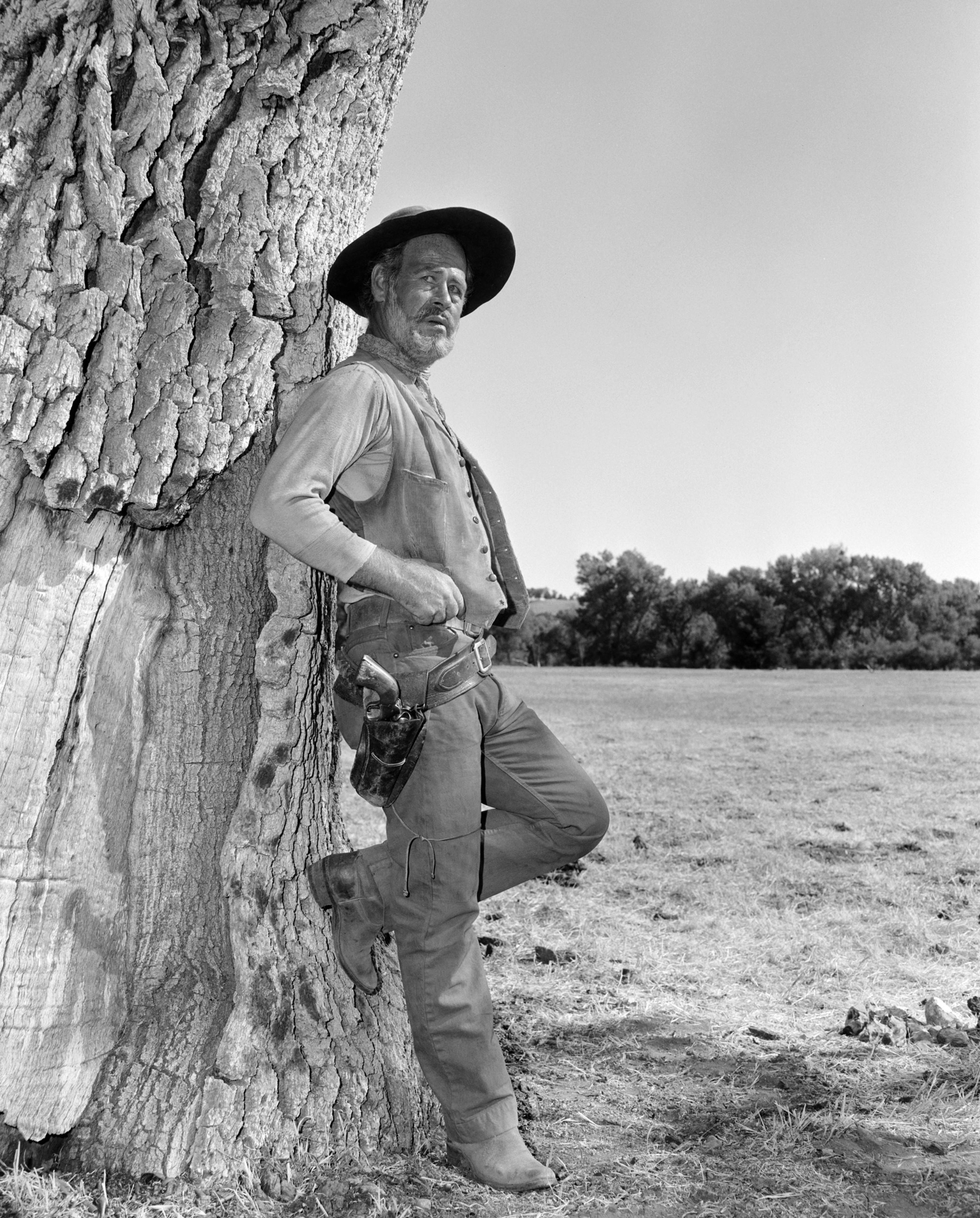 Paul Brinegar image
