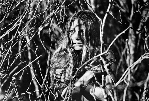 Marilyn Burns image