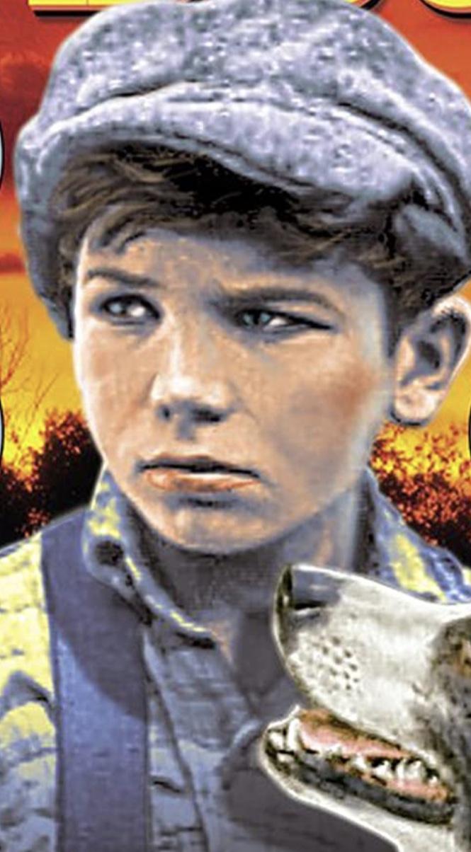 Joe Butterworth image