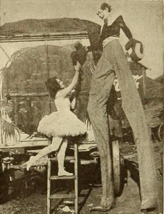 Ora Carew image