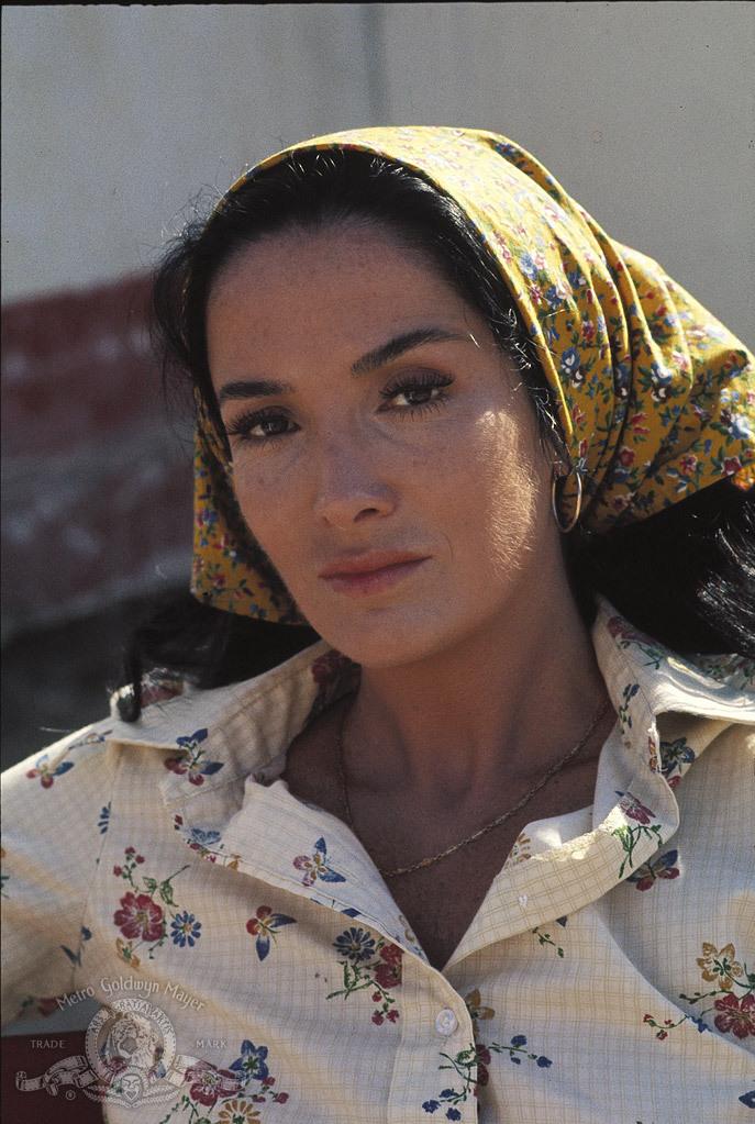 Linda Cristal image