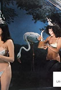 Donatella Damiani image
