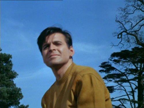 Stuart Damon image