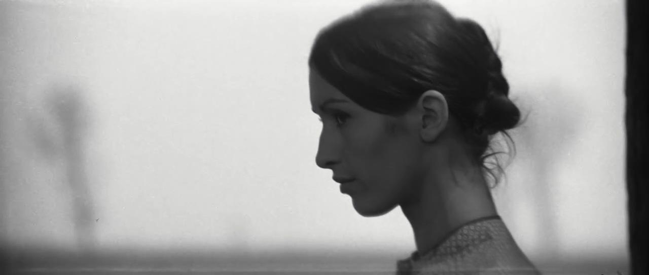 Andrea Drahota image