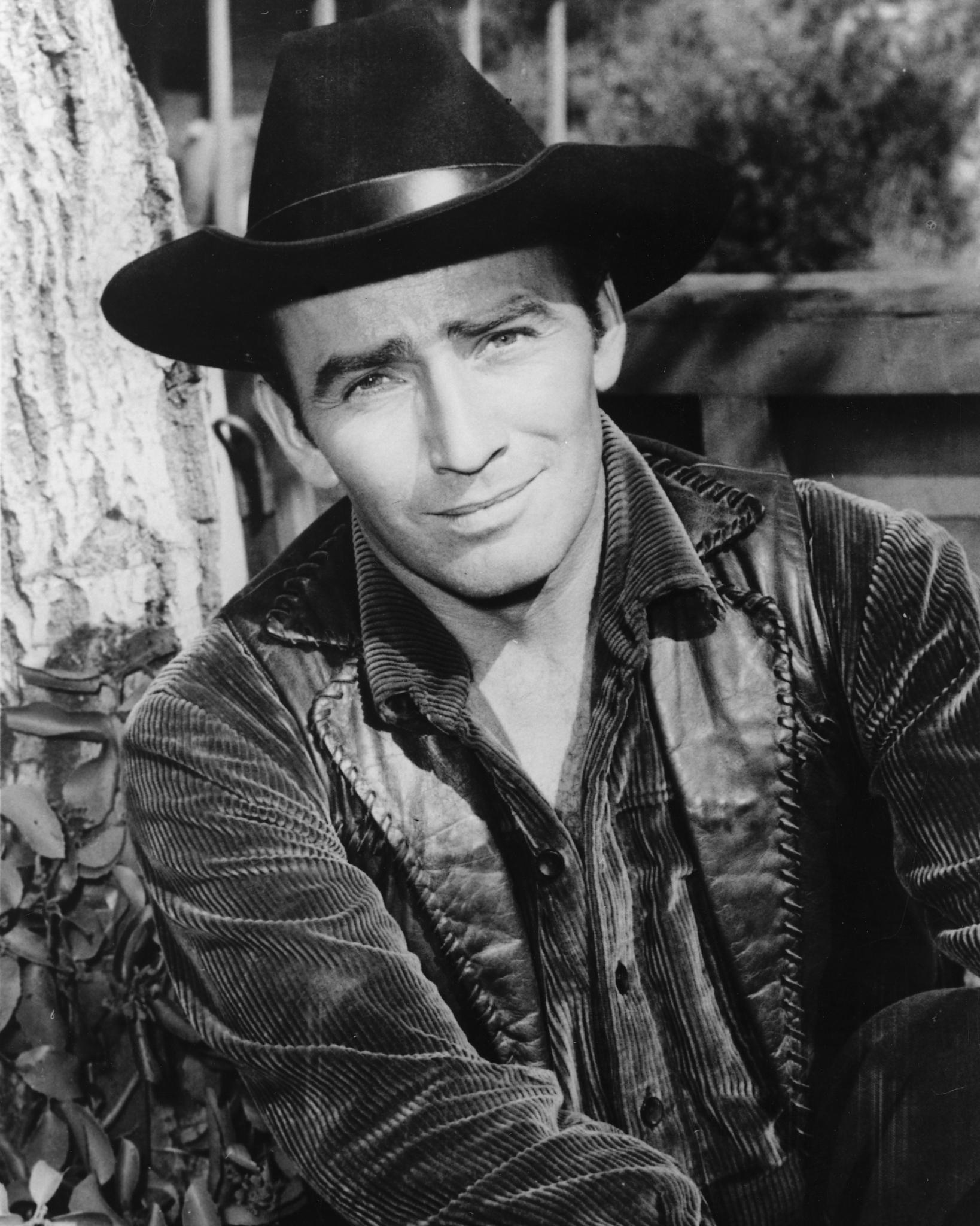 James Drury image