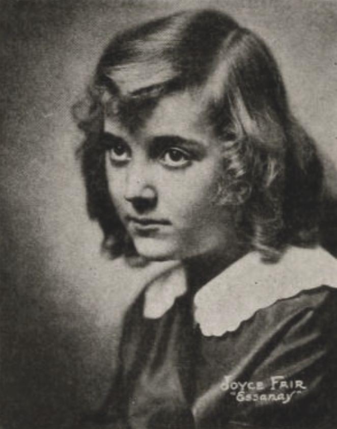 Joyce Fair image