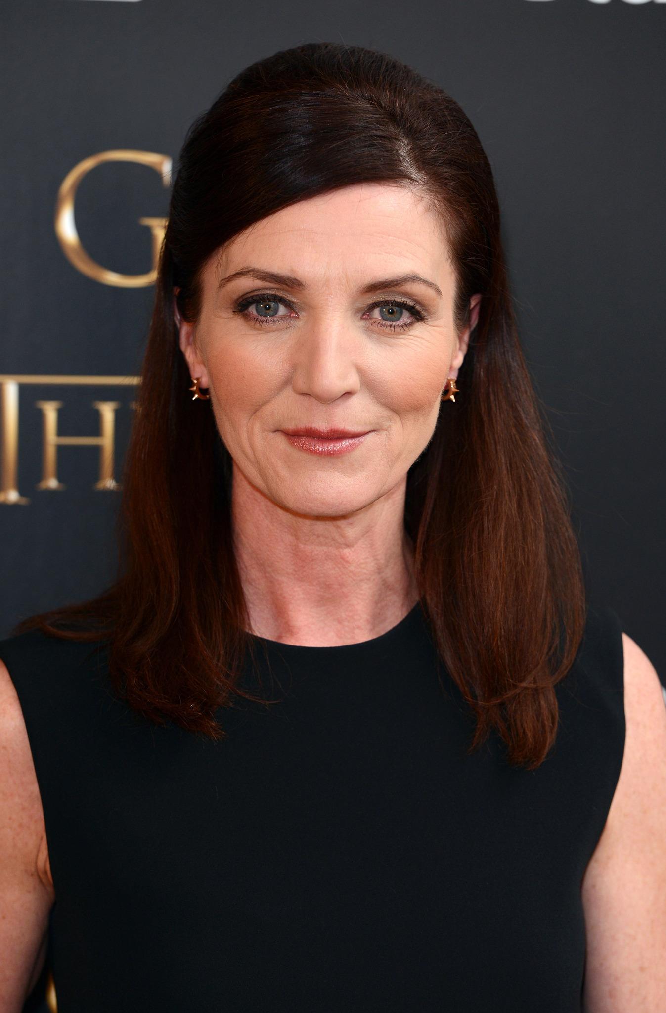 Michelle Fairley image