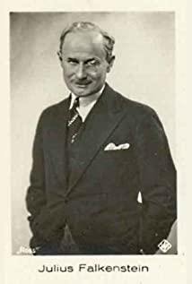 Julius Falkenstein image