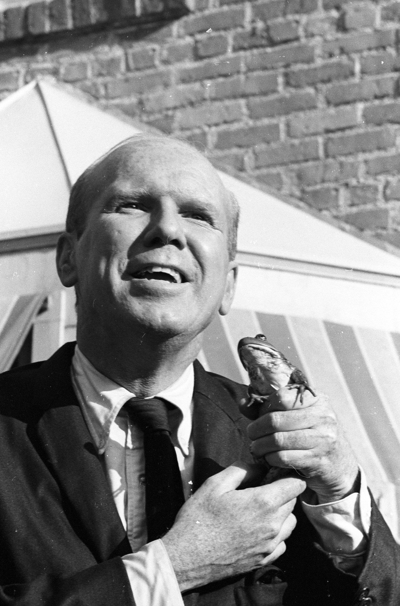 John Fiedler image