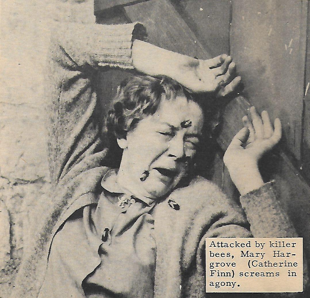 Catherine Finn image