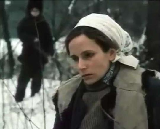 Elena Finogeeva image