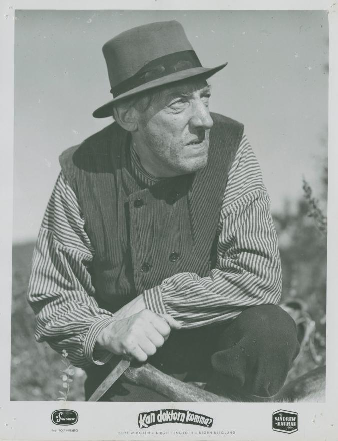 Emil Fjellström image