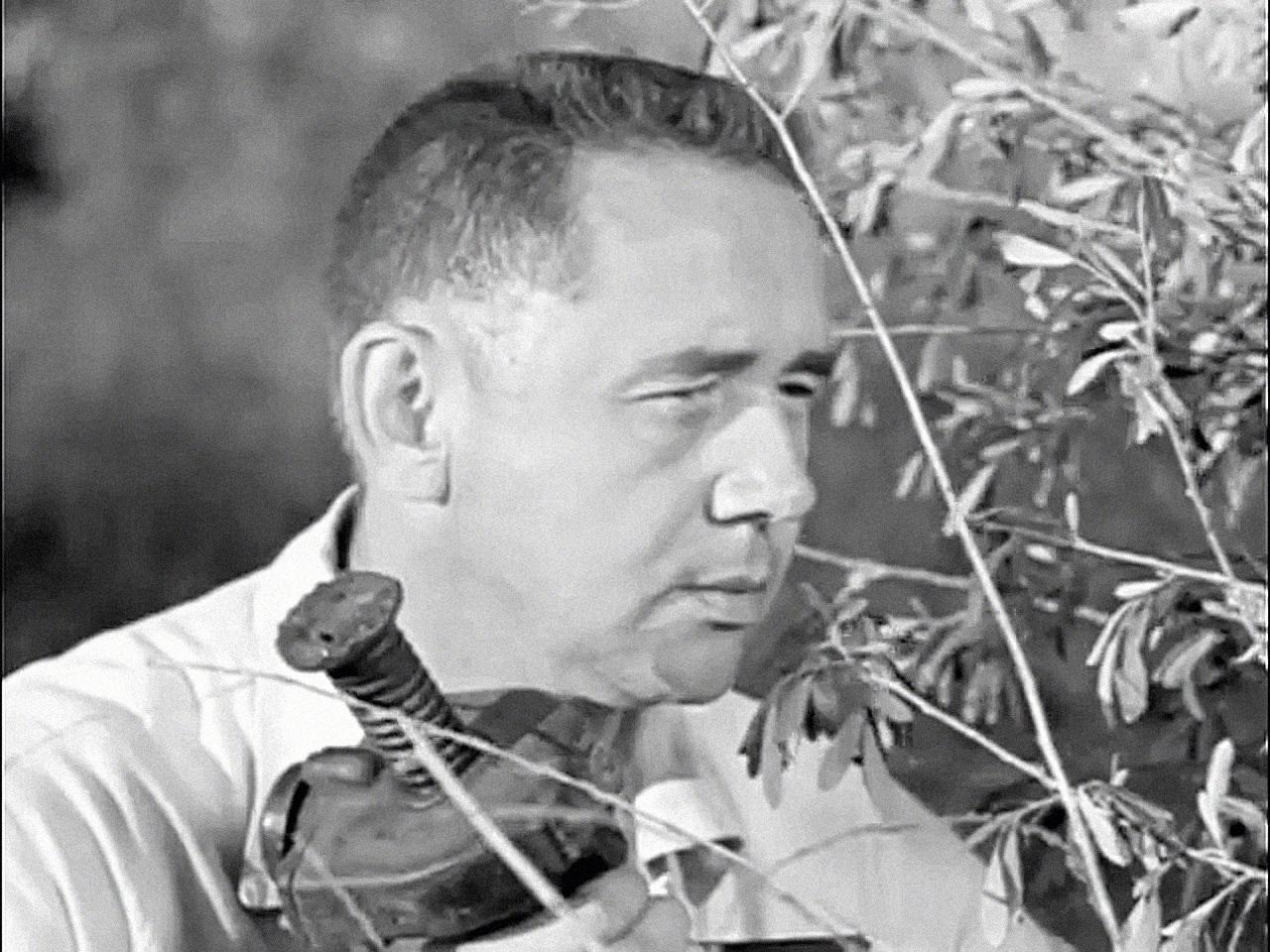 Robert Stevenson image