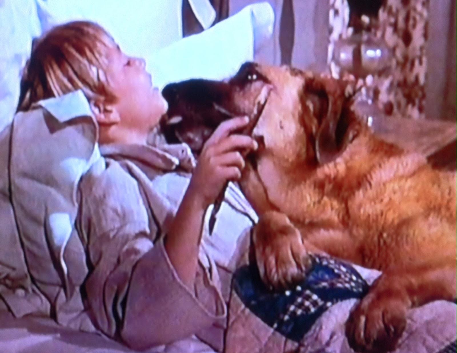 Buddy Foster image