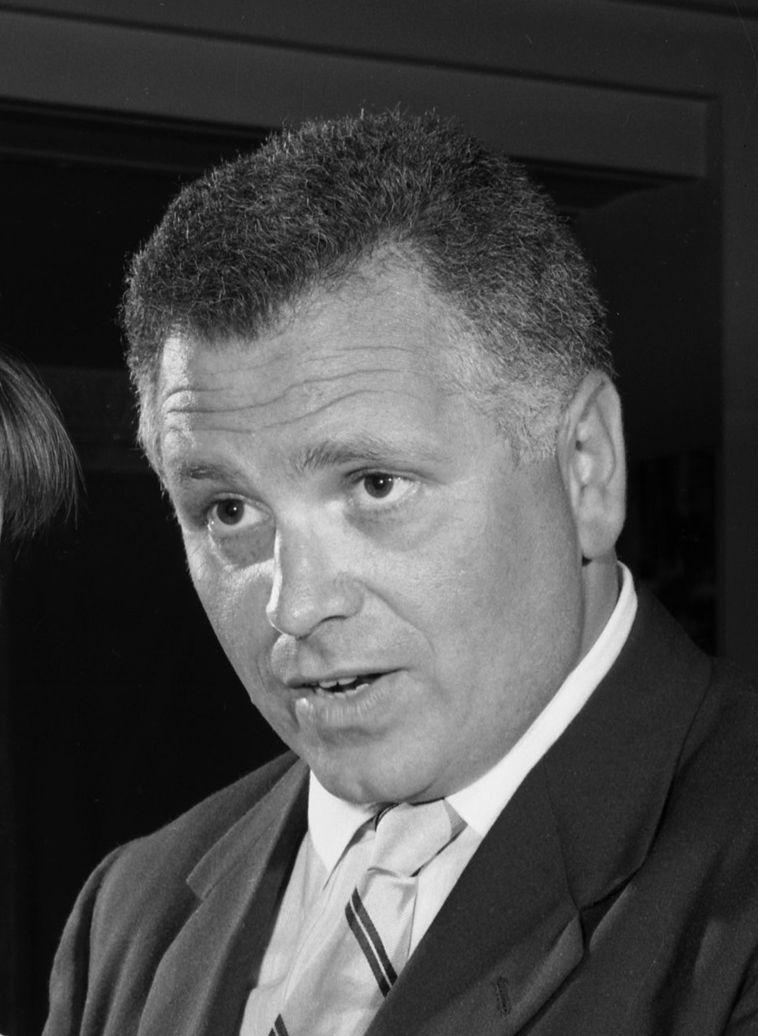 Bert Freed image