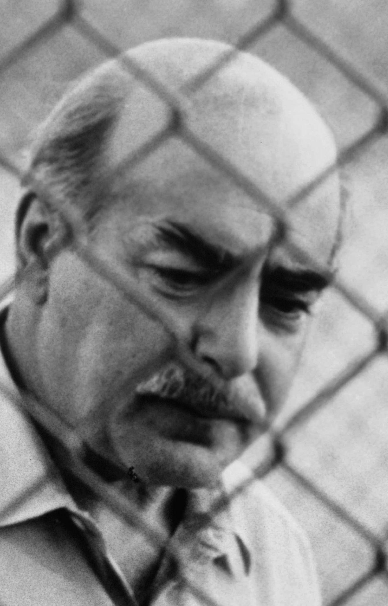 Michael V. Gazzo image