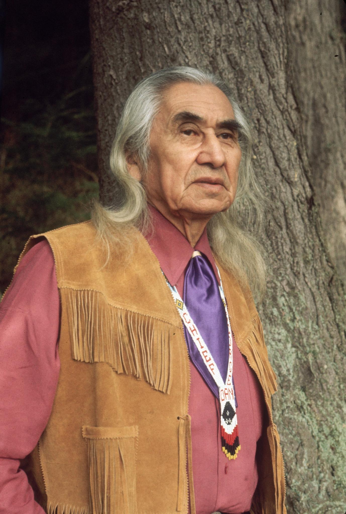 Chief Dan George image