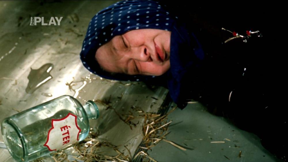 Darja Hajská image
