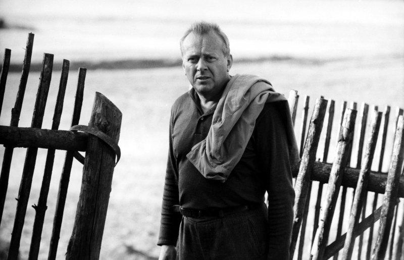 Karel Höger image