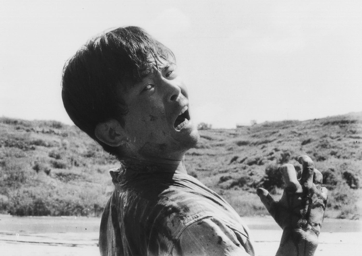 Hisashi Igawa image
