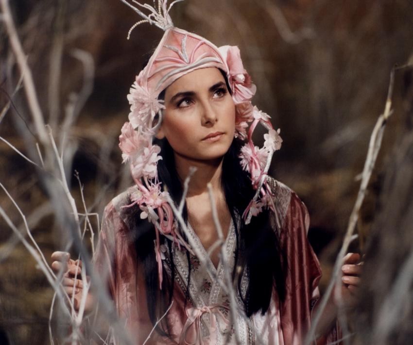 Zora Jandová image