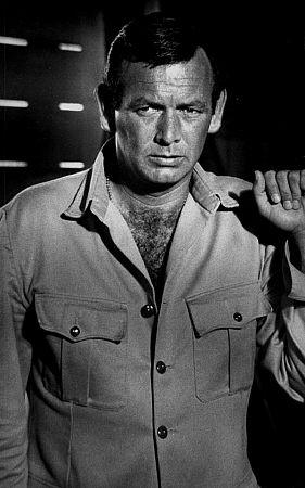 David Janssen image