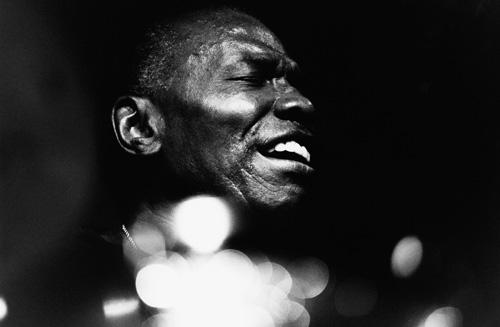 Elvin Jones image