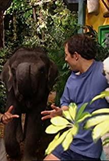 Martin Kratt image