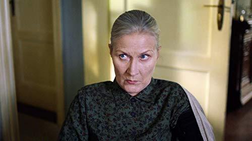 Hedi Kriegeskotte image