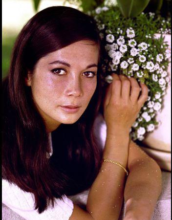 Nancy Kwan image
