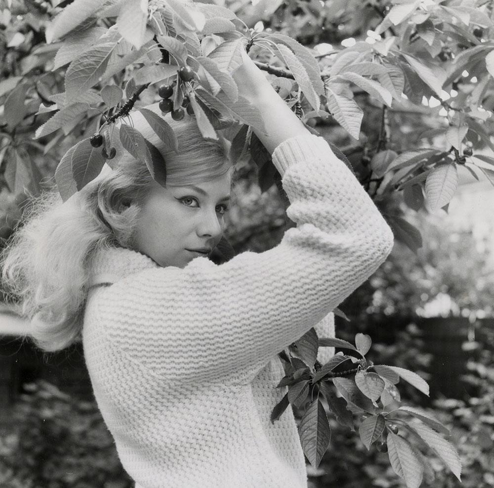 Britt Lindberg image