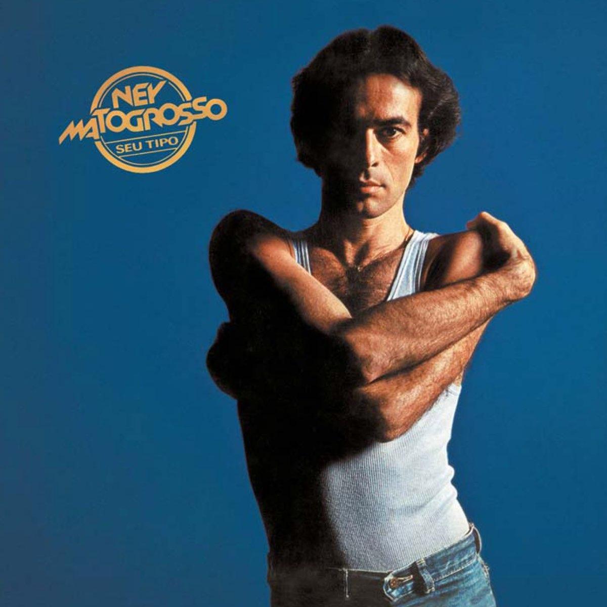 Ney Matogrosso image