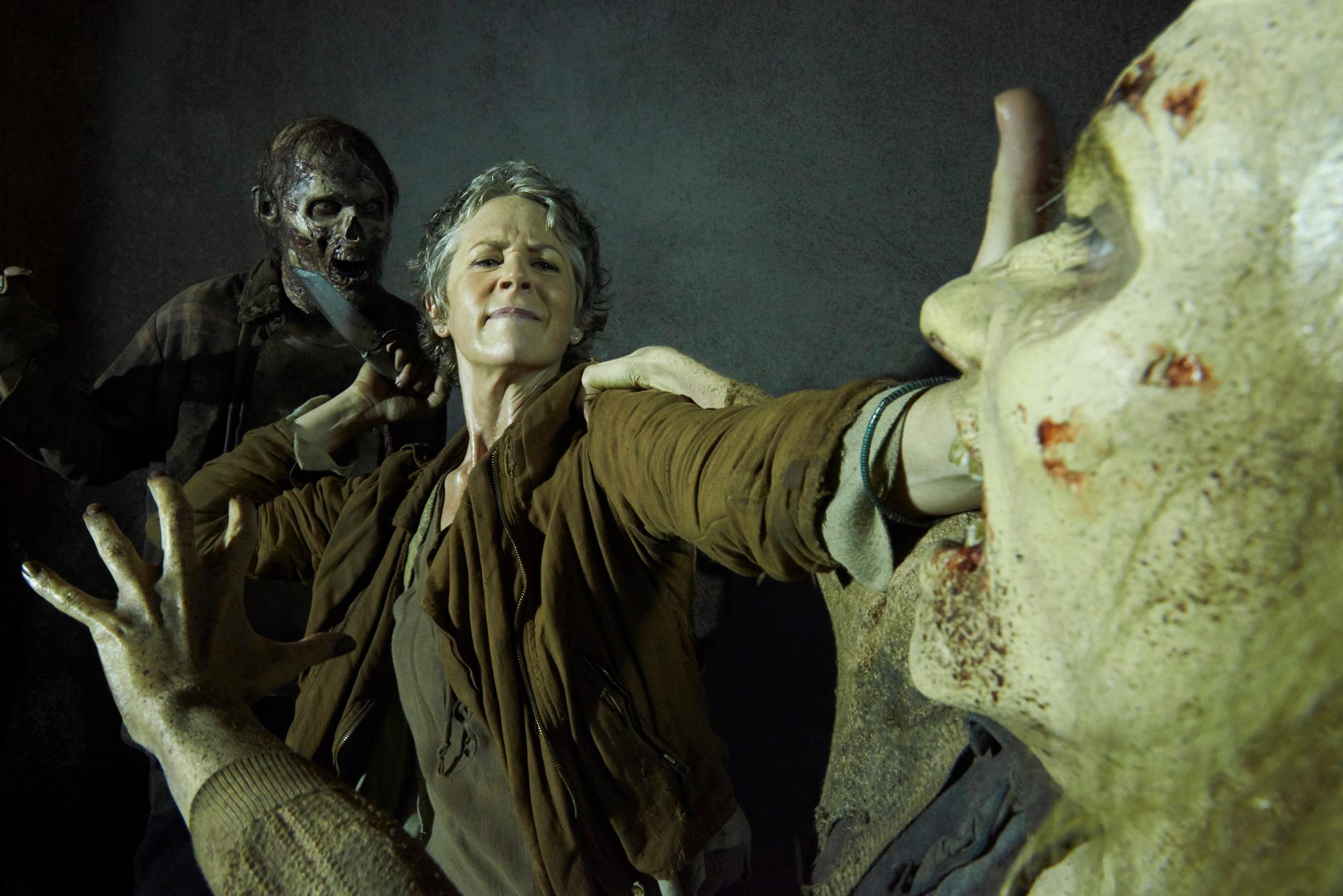Melissa McBride image