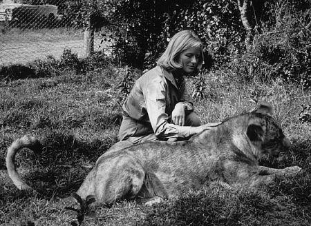 Virginia McKenna image