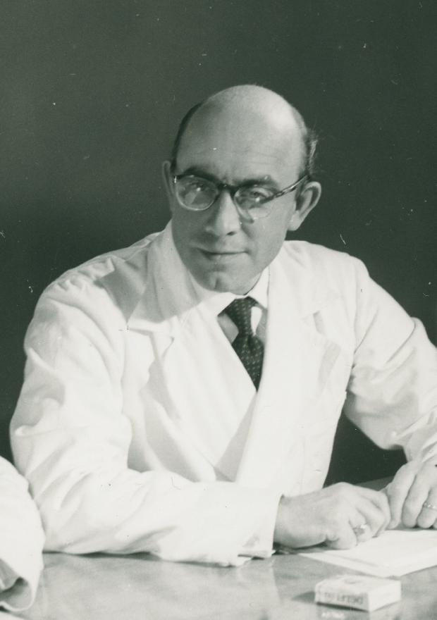 Börje Mellvig image