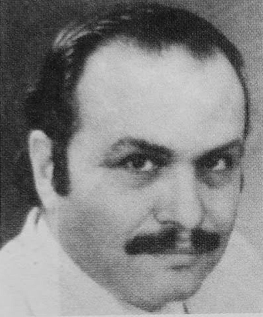Ferdi Merter image