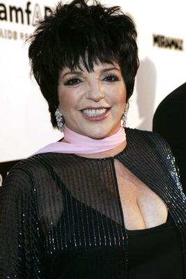 Liza Minnelli image