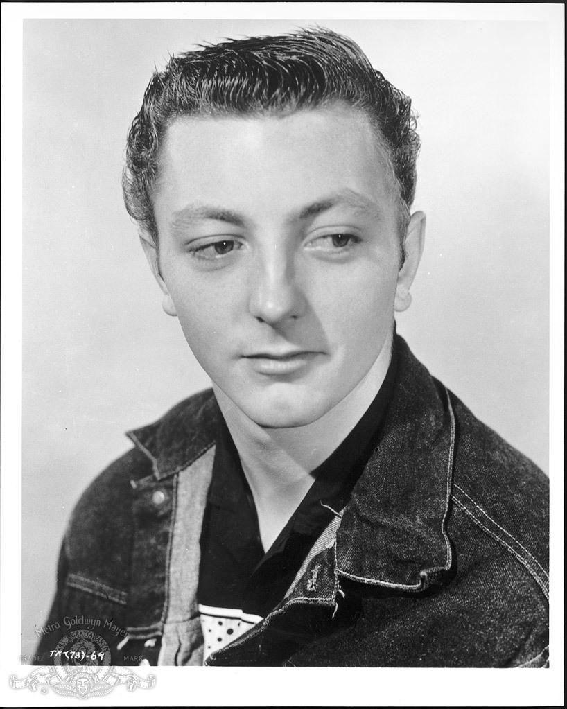 James Mitchum image