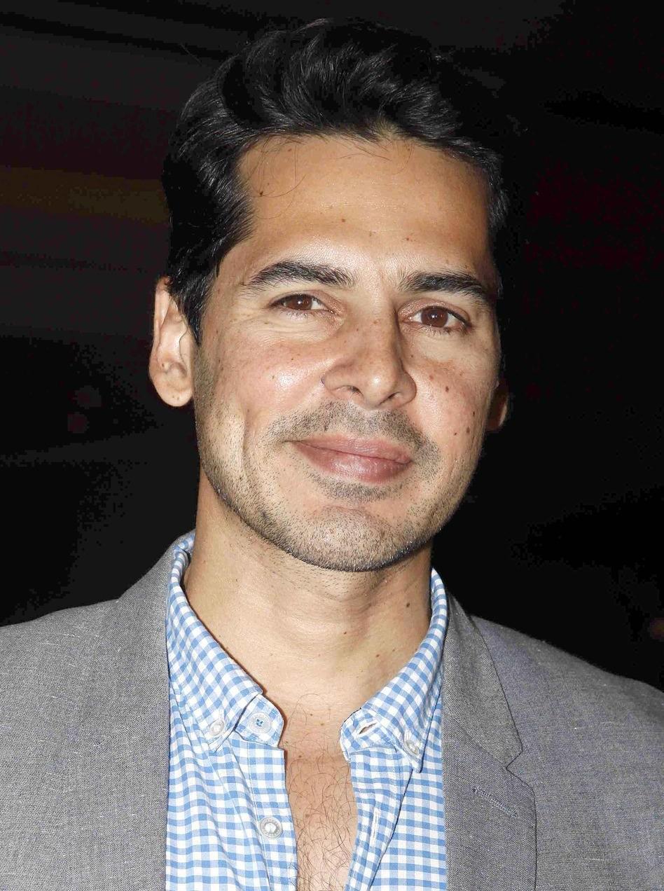 Dino Morea image