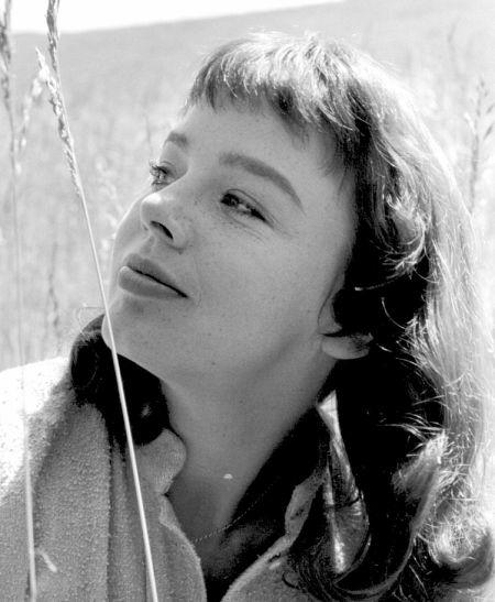 Janet Munro image