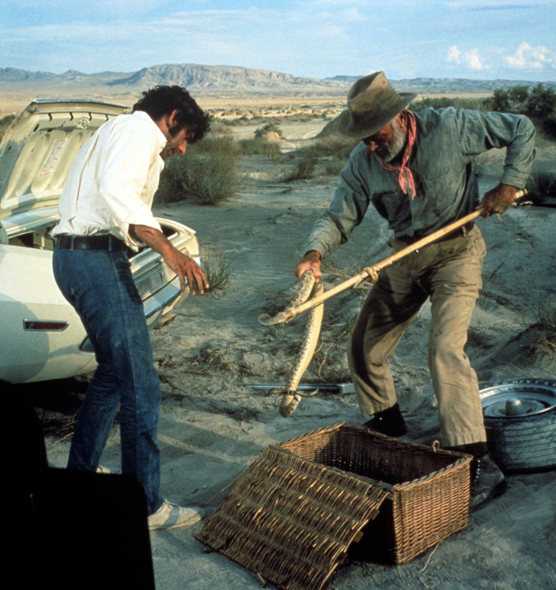 Barry Newman image