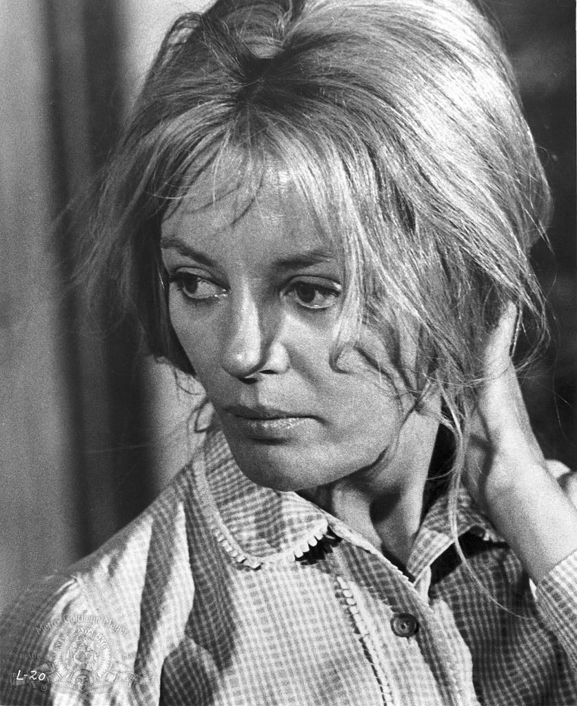 Sheree North image